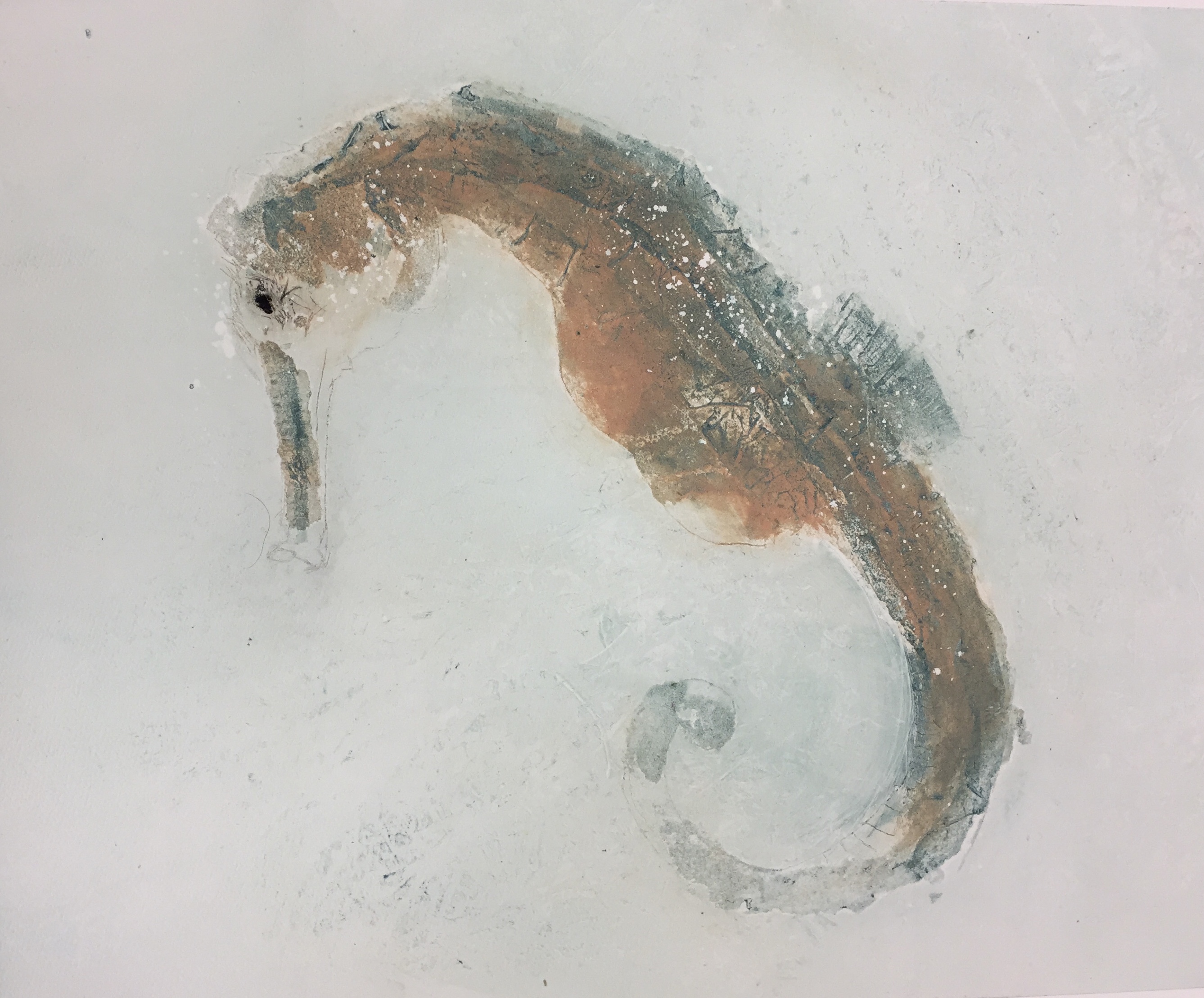 #fish #etching #art4sale #artist #seahorse